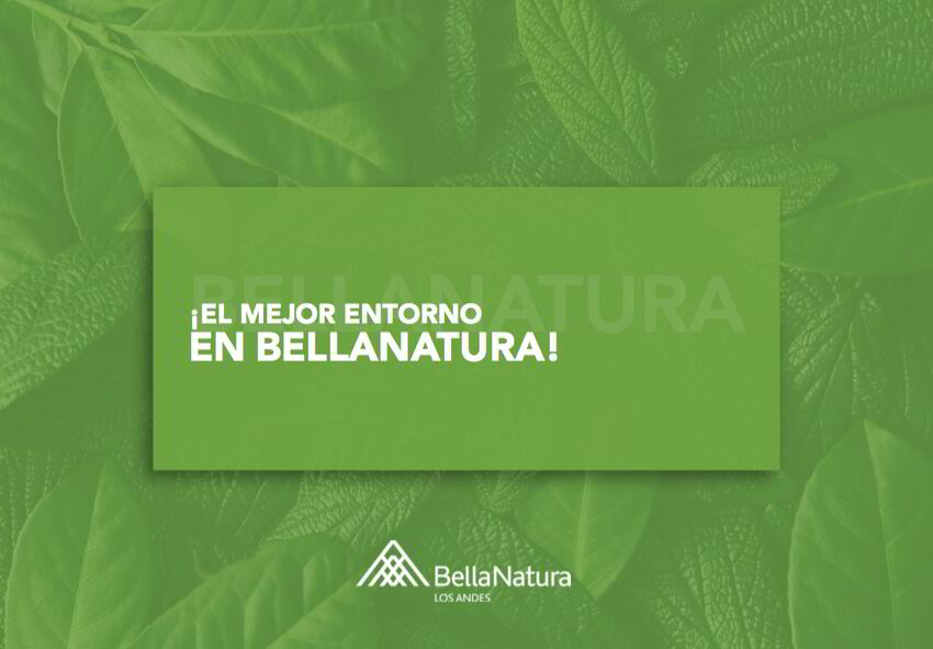 Bellanatura | Ebooks