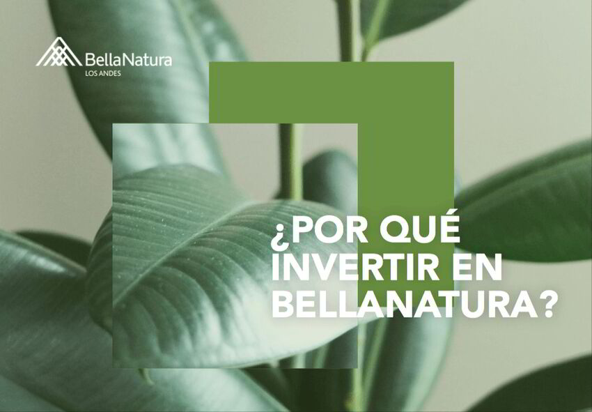 Bellanatura | Ebooks