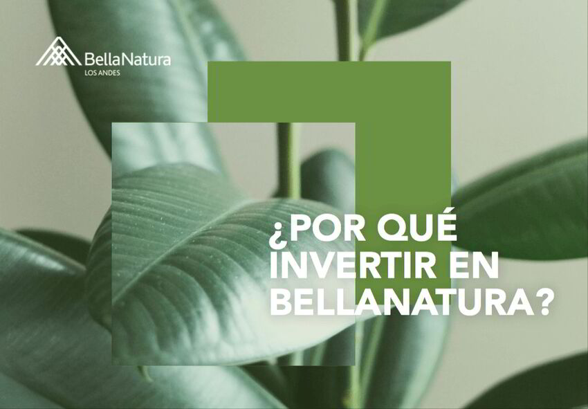 Bellanatura | Ebooks