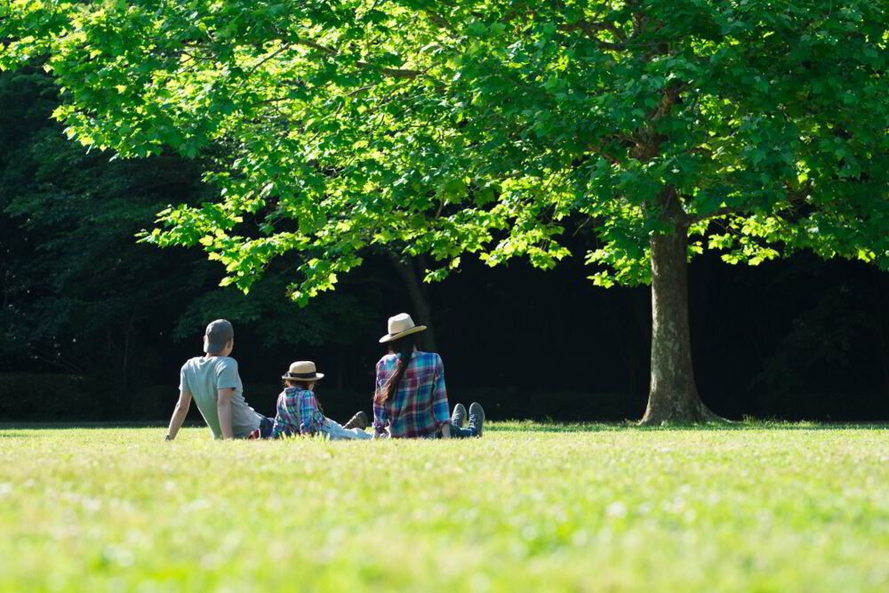 Bellanatura | ¿Qué árbol representa a tu familia?