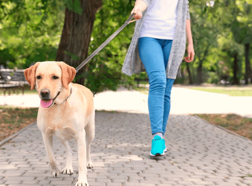 Bellanatura | Caminar: El ejercicio perfecto