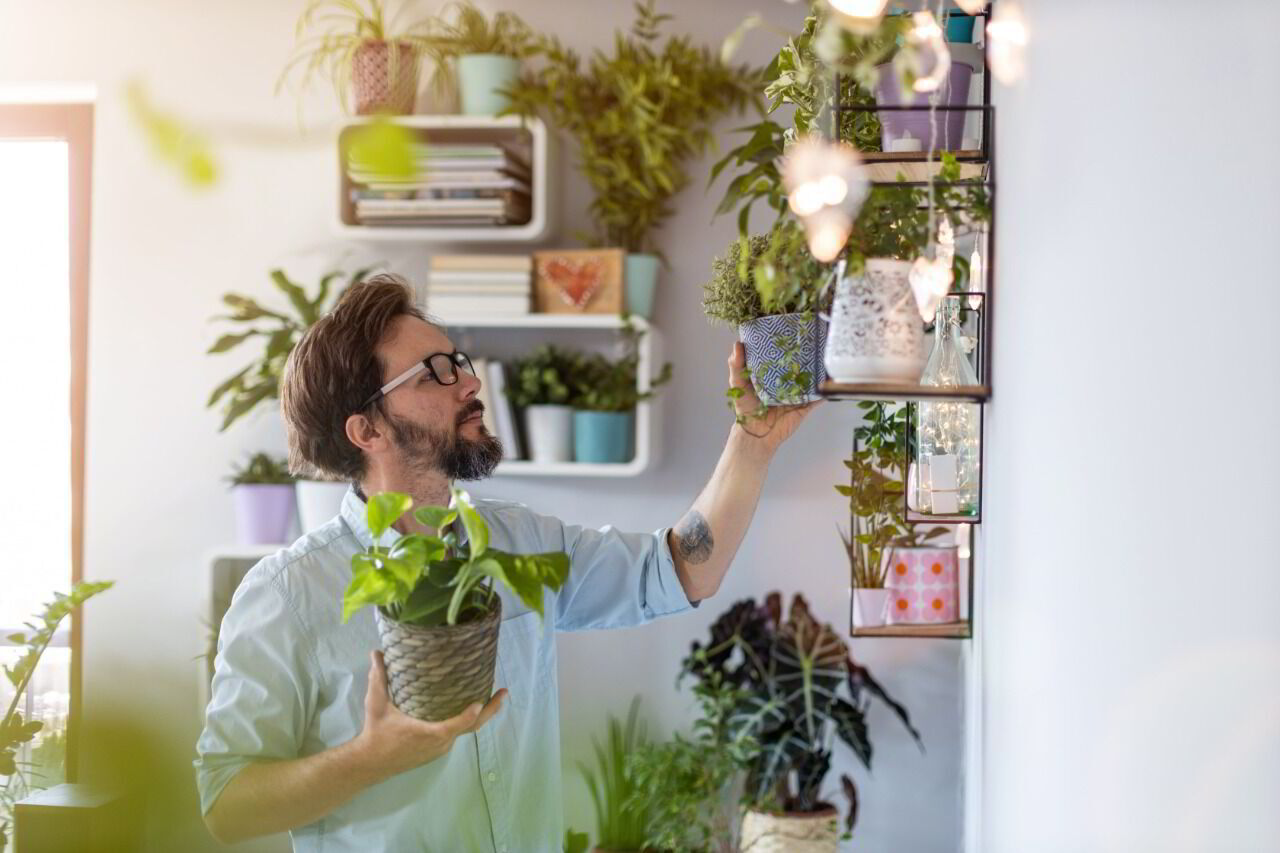 La naturaleza hasta tu casa